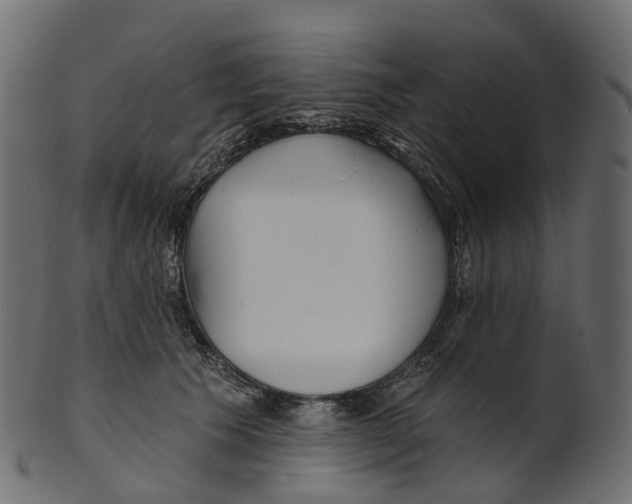 X0000100470609200807031829