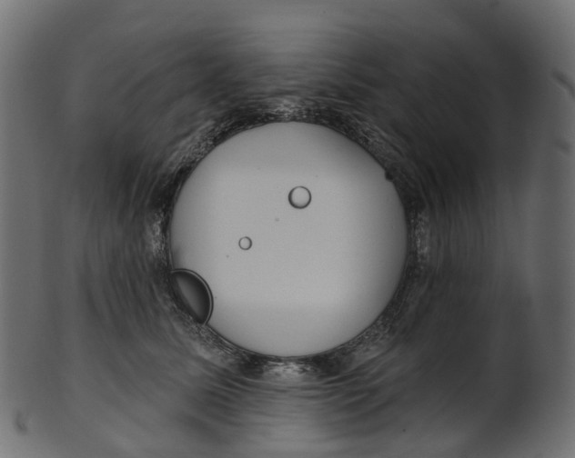 X0000100470611200807031829