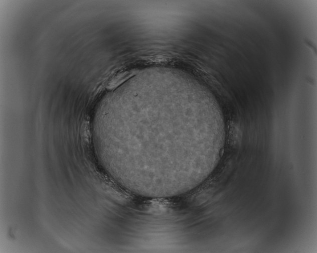 X0000100470612200807031829