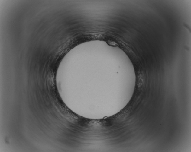 X0000100470613200807031829