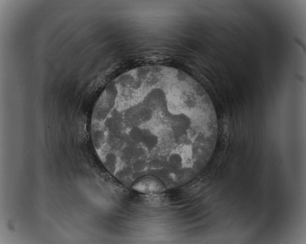 X0000100470615200807031829