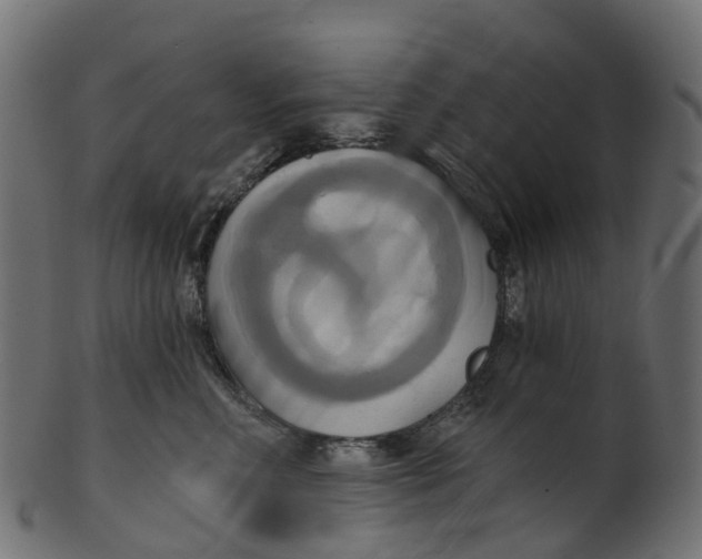 X0000100470618200807031829