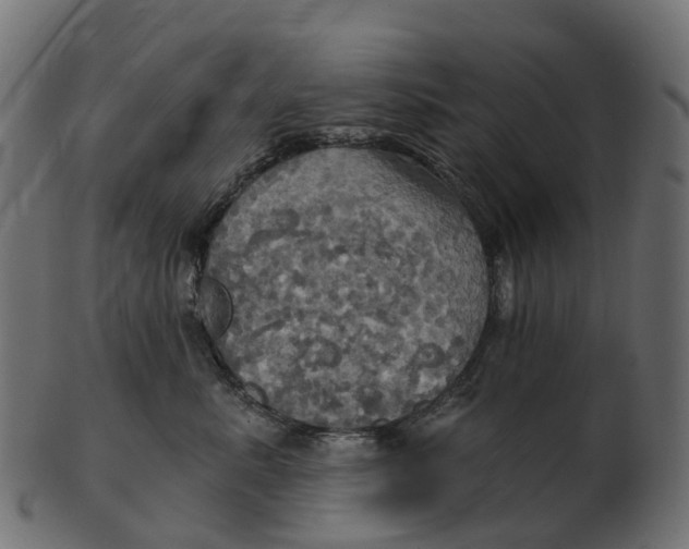 X0000100470619200807031829