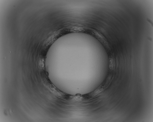 X0000100470621200807031829