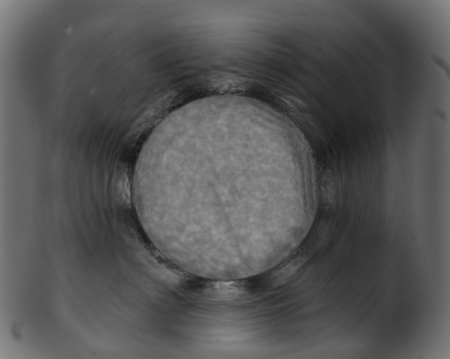 X0000100470622200807031829