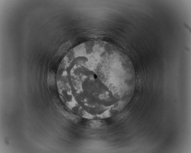 X0000100470623200807031829