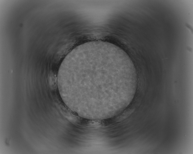 X0000100470624200807031829