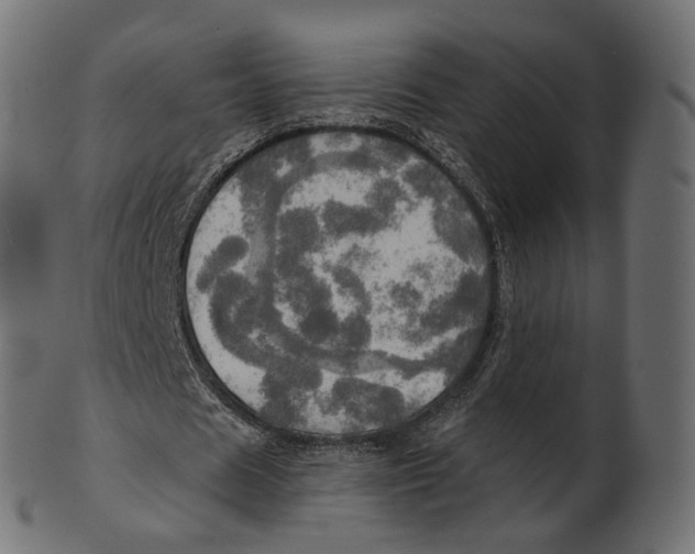 X0000100470625200807031828