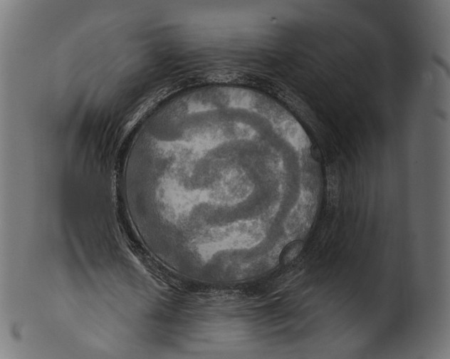 X0000100470626200807031828