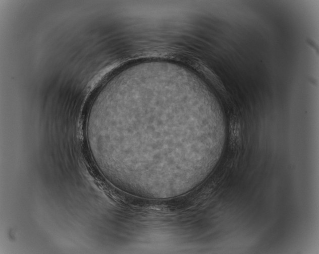 X0000100470628200807031828