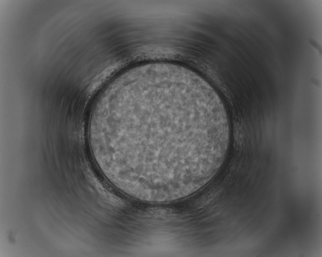 X0000100470629200807031828