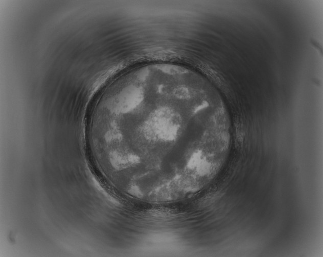 X0000100470630200807031828