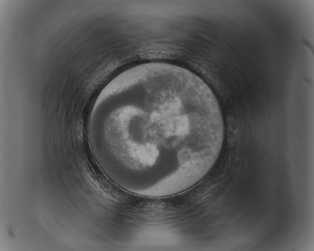 X0000100470631200807031828