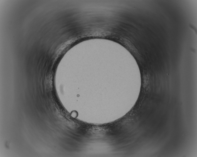 X0000100470632200807031828