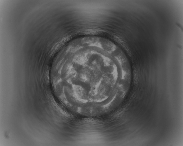 X0000100470633200807031828