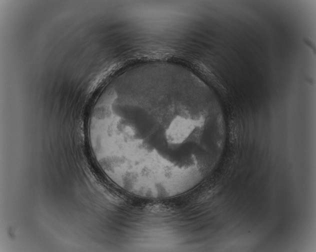 X0000100470634200807031828