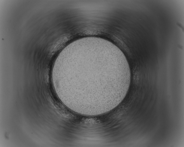 X0000100470635200807031828