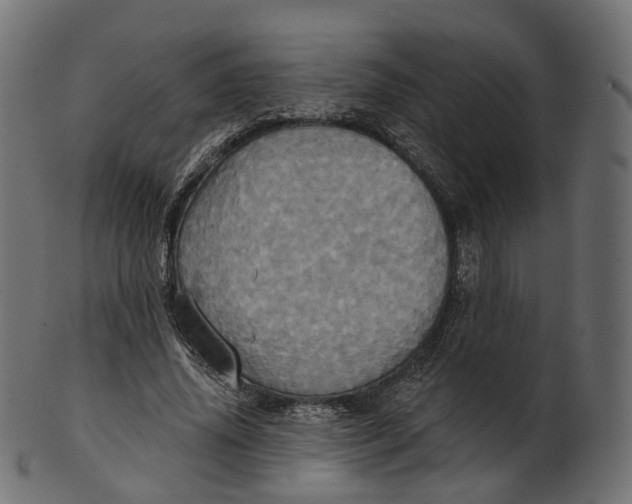 X0000100470636200807031828