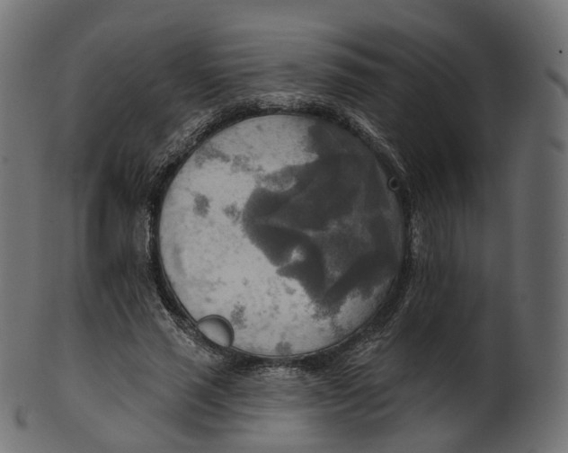 X0000100470637200807031828