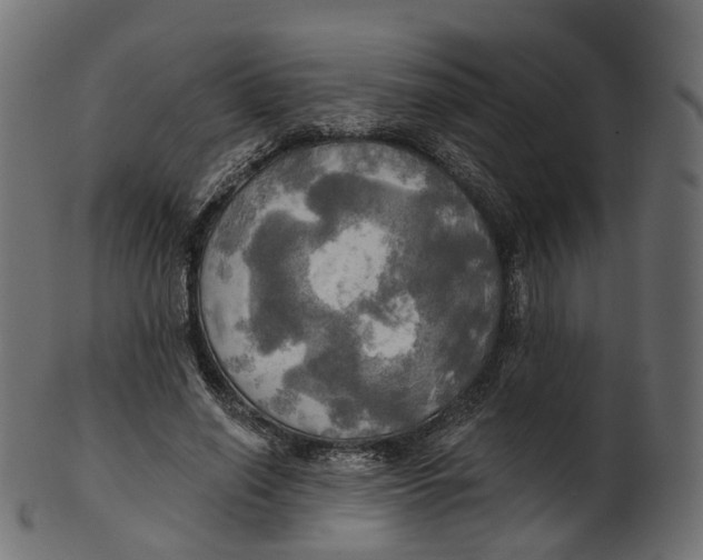 X0000100470638200807031828