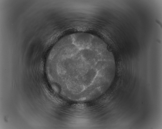 X0000100470639200807031828