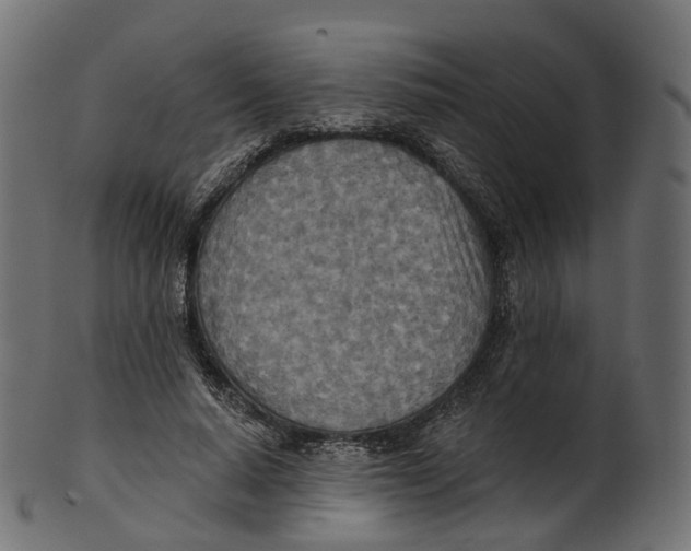 X0000100470640200807031828