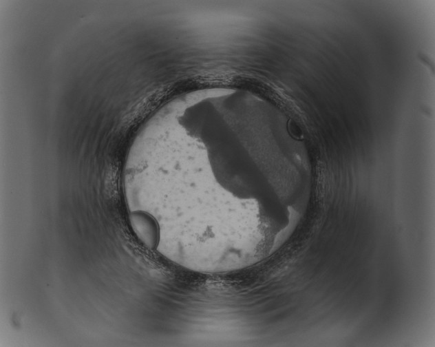 X0000100470641200807031828