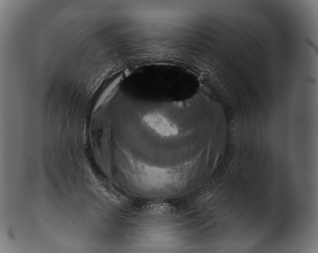 X0000100470642200807031828