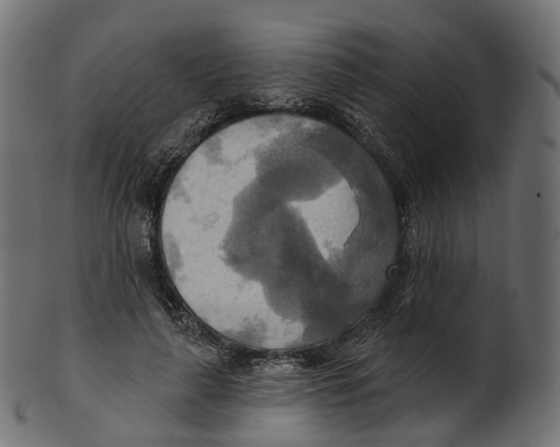 X0000100470643200807031828