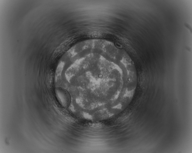 X0000100470645200807031829