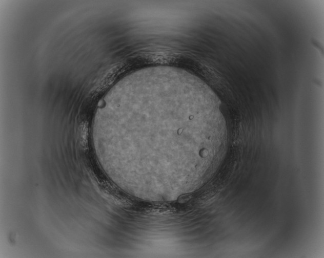 X0000100470646200807031829