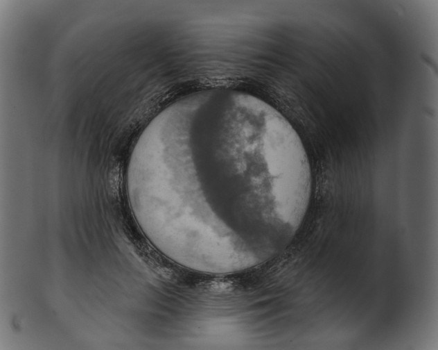 X0000100470647200807031829