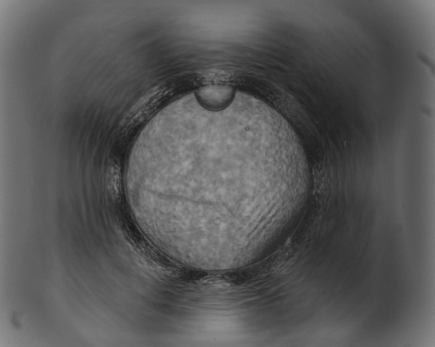 X0000100470648200807031829