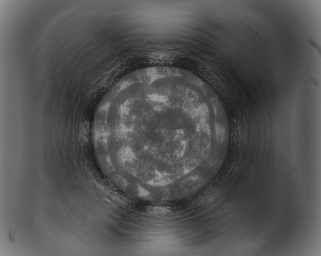 X0000100470649200807031829