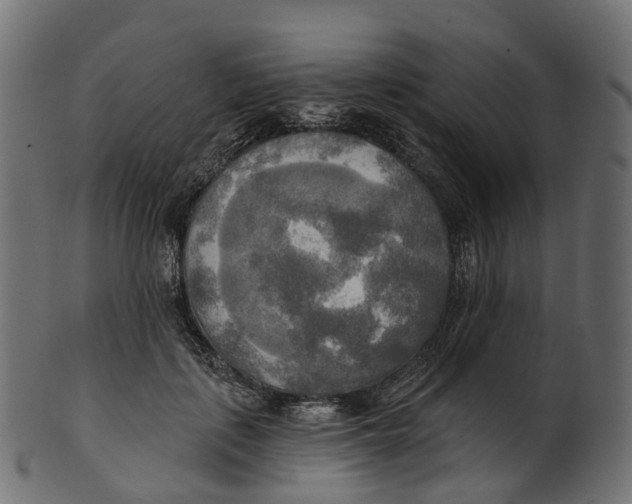 X0000100470651200807031829