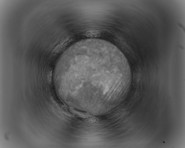 X0000100470652200807031829