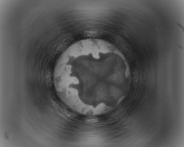 X0000100470653200807031829