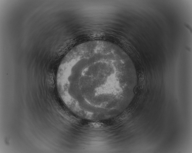 X0000100470654200807031829