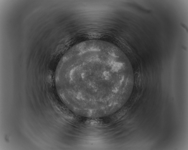 X0000100470655200807031829