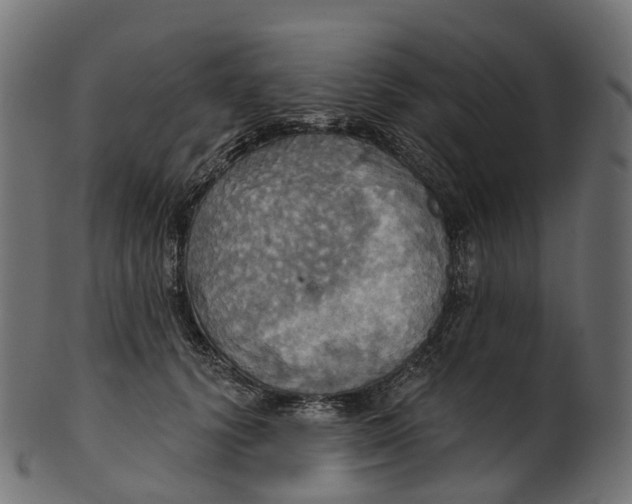 X0000100470656200807031829