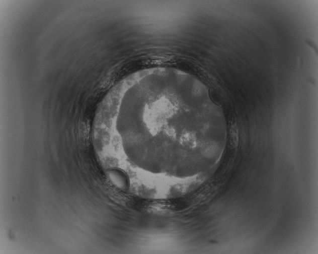 X0000100470657200807031829