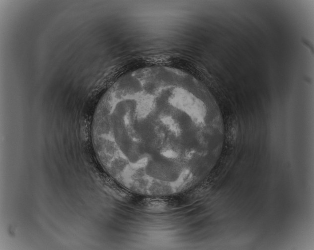 X0000100470658200807031829