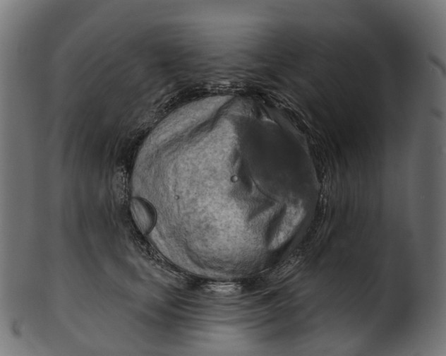 X0000100470659200807031829