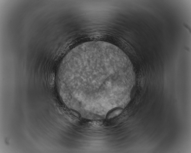 X0000100470660200807031829