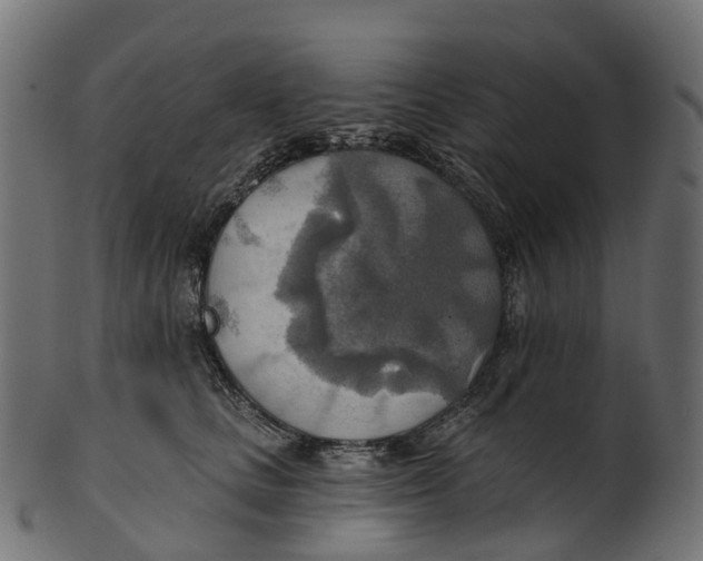 X0000100470661200807031829