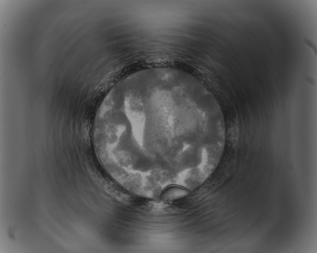 X0000100470662200807031829