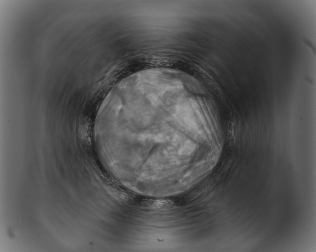 X0000100470663200807031829