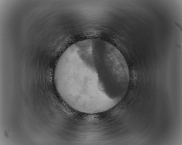 X0000100470664200807031829