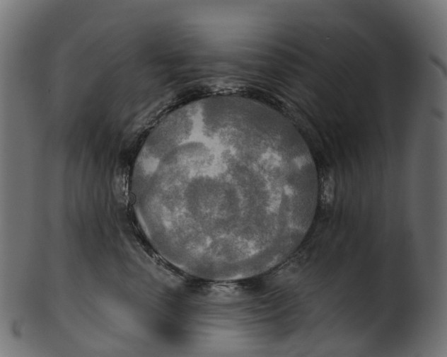 X0000100470666200807031829