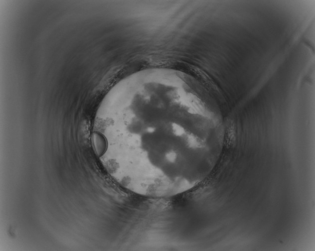 X0000100470667200807031829